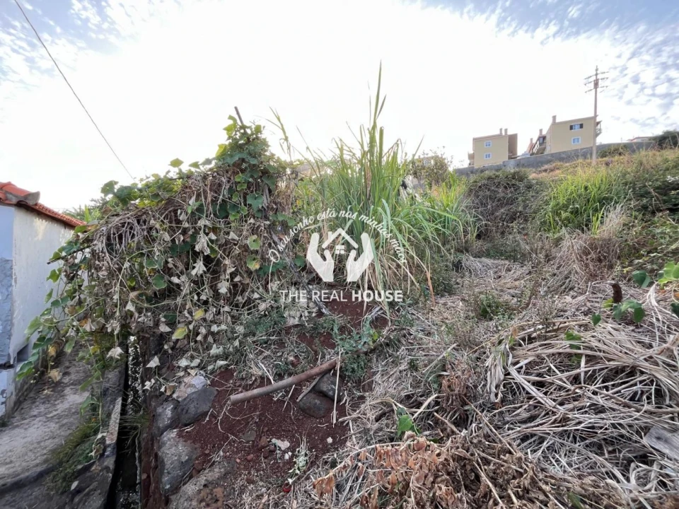 Terreno para Venda em Santa Cruz Foto 5