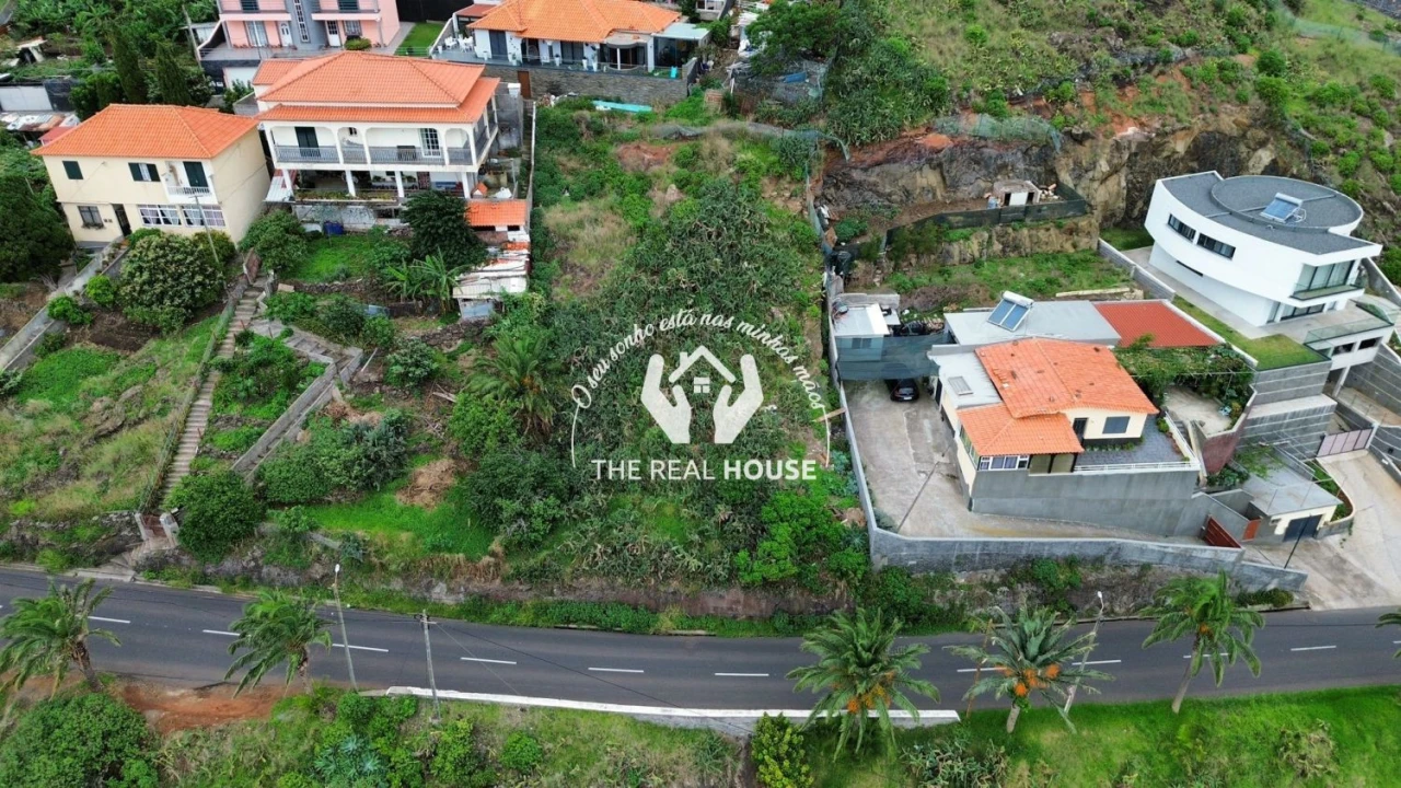 Terreno para Venda em Caniçal Foto 3