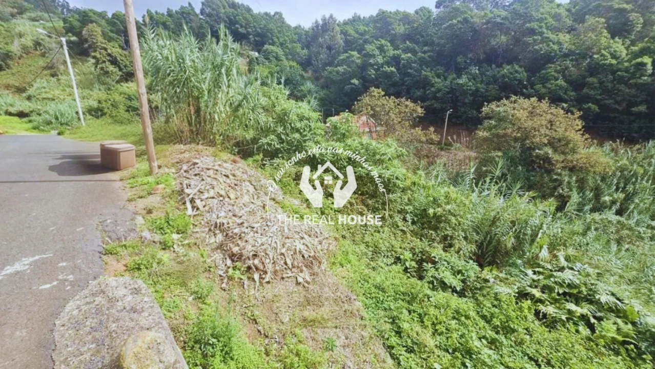 Terreno para Venda em Ponta do Sol Foto 2