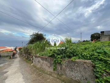 Terreno para Venda em Santa Cruz