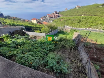 Terreno para Venda em Camara de Lobos