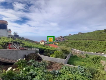 Terreno para Venda em Camara de Lobos