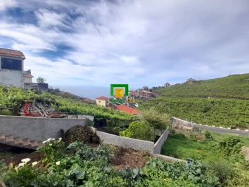 Terreno para Venda em Camara de Lobos