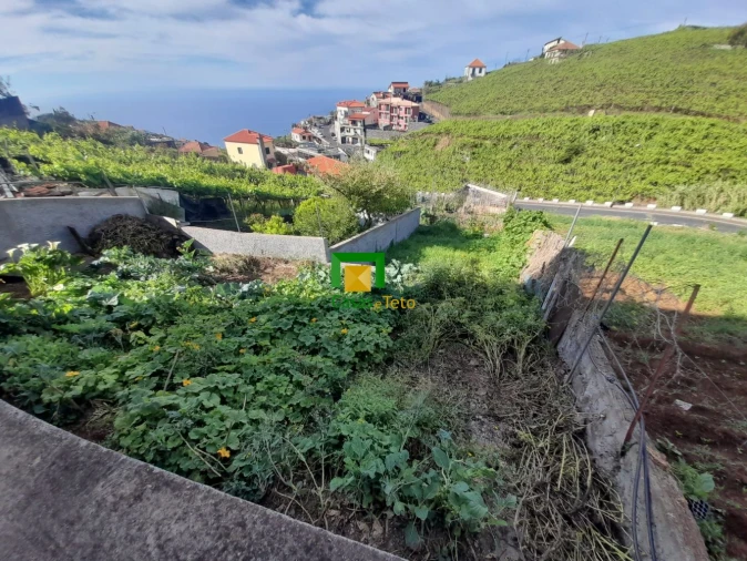 Terreno para Venda em Camara de Lobos Foto 8