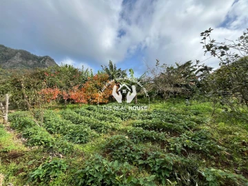 Terreno para Venda em Porto da Cruz