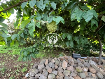 Terreno para Venda em Porto da Cruz