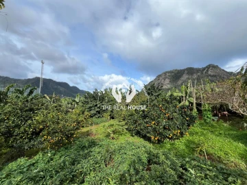 Terreno para Venda em Porto da Cruz