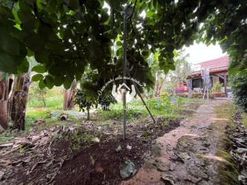 Terreno para Venda em Porto da Cruz