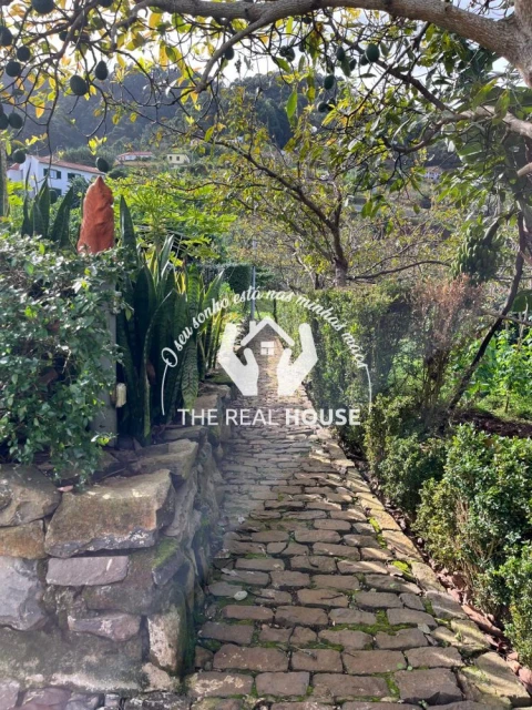 Terreno para Venda em Porto da Cruz