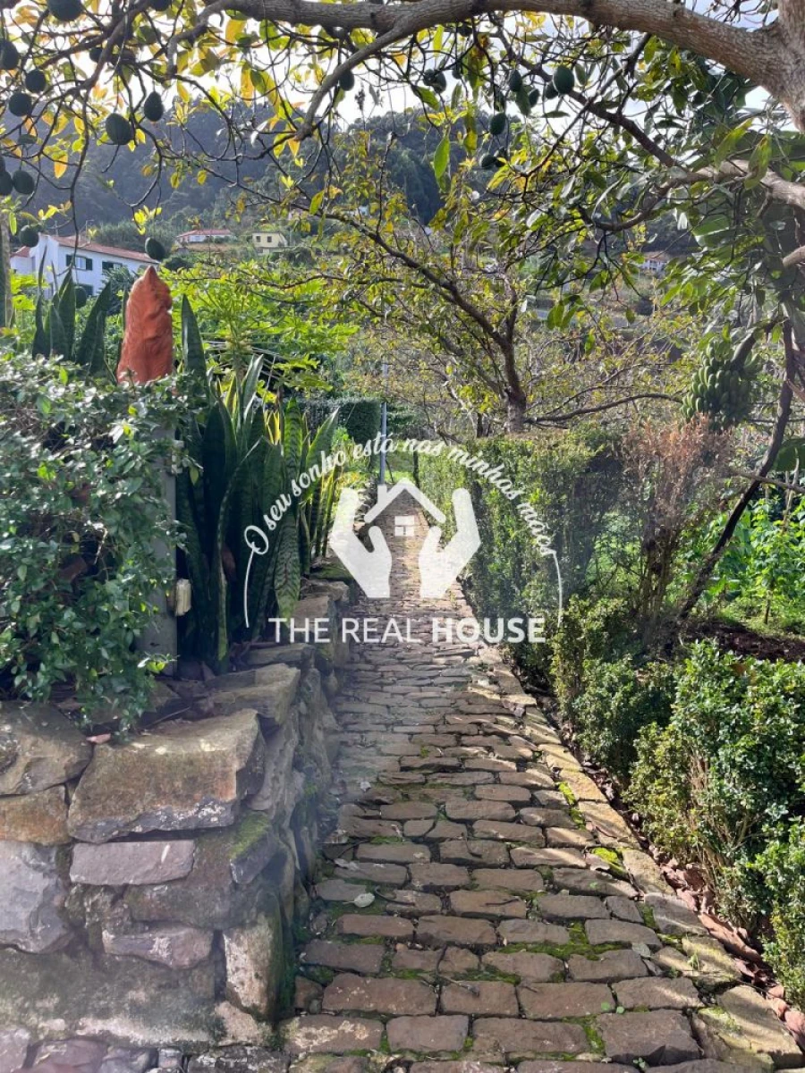 Terreno para Venda em Porto da Cruz Foto 22