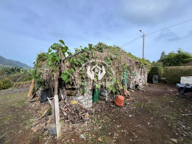 Terreno para Venda em Porto da Cruz Foto 15