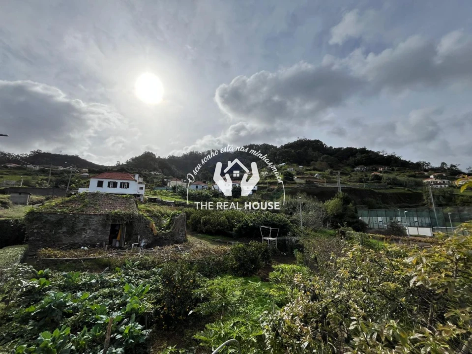 Terreno para Venda em Porto da Cruz Foto 21