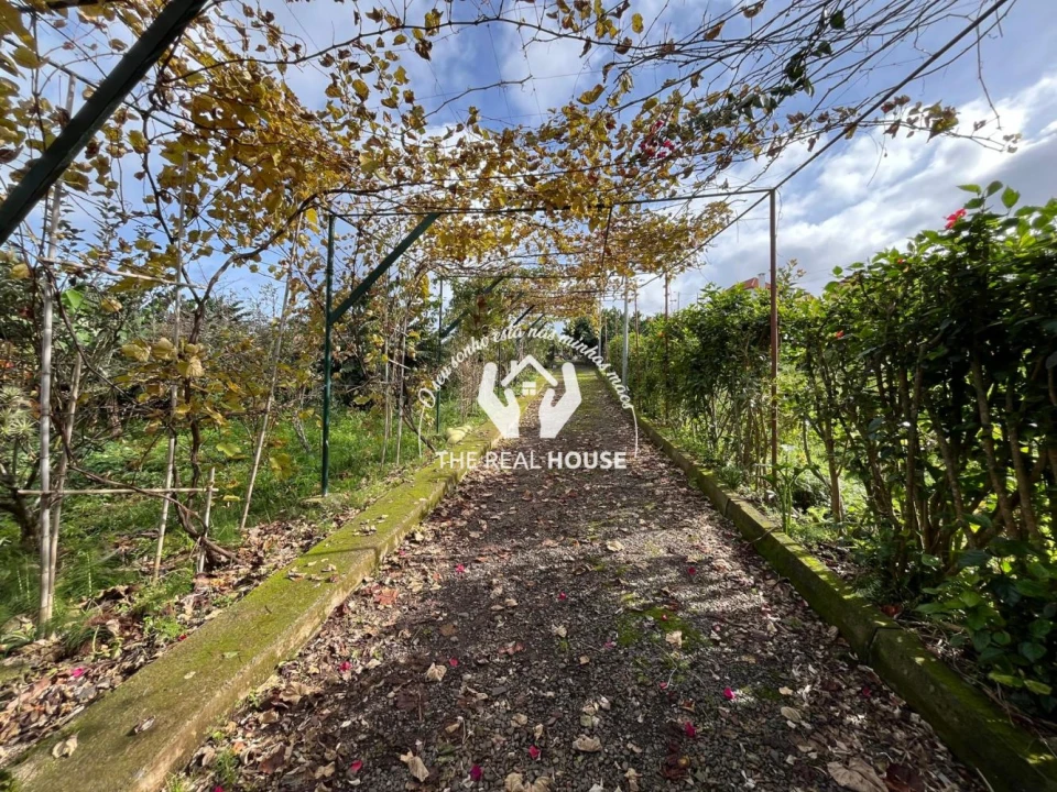 Terreno para Venda em Porto da Cruz Foto 34