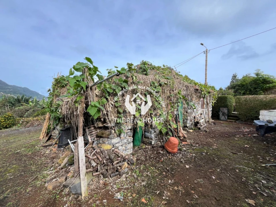 Terreno para Venda em Porto da Cruz Foto 15