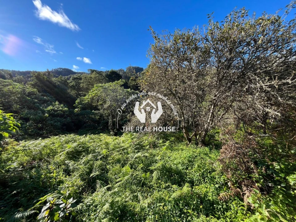 Terreno para Venda em Santo Antonio da Serra Foto 9