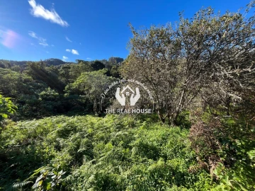 Terreno para Venda em Santo Antonio da Serra