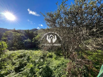 Terreno para Venda em Santo Antonio da Serra