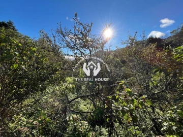 Terreno para Venda em Santo Antonio da Serra