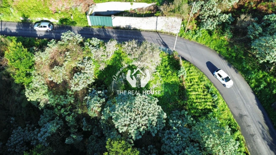 Terreno para Venda em Santo Antonio da Serra Foto 4