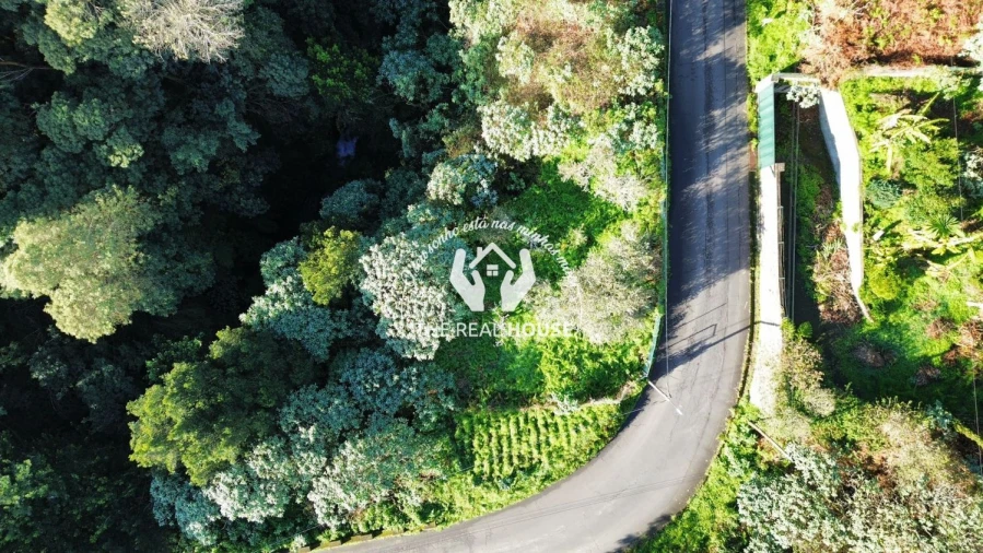 Terreno para Venda em Santo Antonio da Serra Foto 5