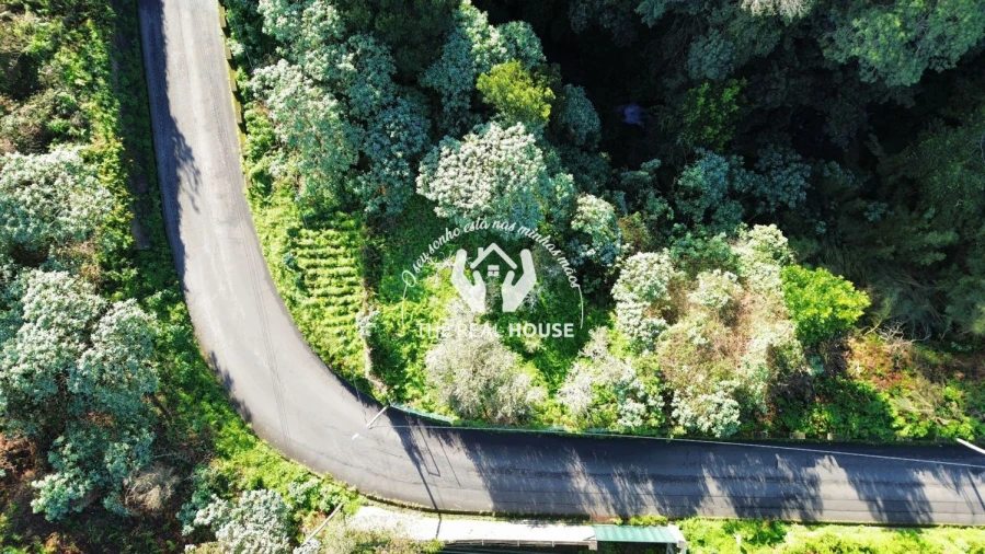 Terreno para Venda em Santo Antonio da Serra Foto 6