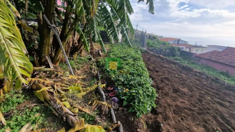 Moradia T3 para Venda em Caniço