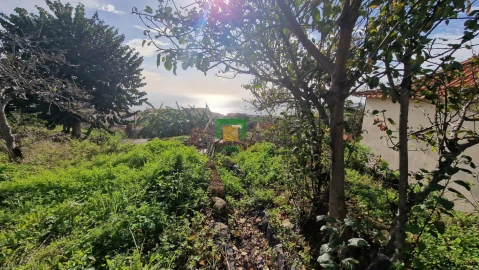 Moradia T3 para Venda em Caniço