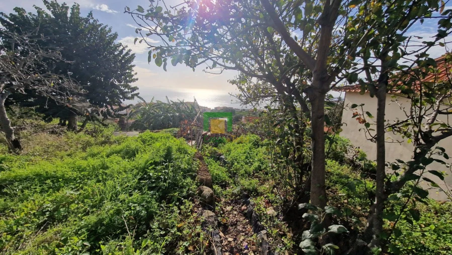 Moradia T3 para Venda em Caniço Foto 19