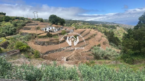 Moradia T3 para Venda em Gaula