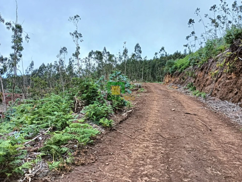 Terreno para Venda em Santo Antonio da Serra Foto 2