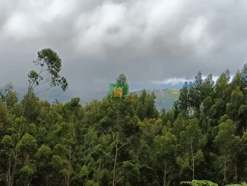 Terreno para Venda em Santo Antonio da Serra