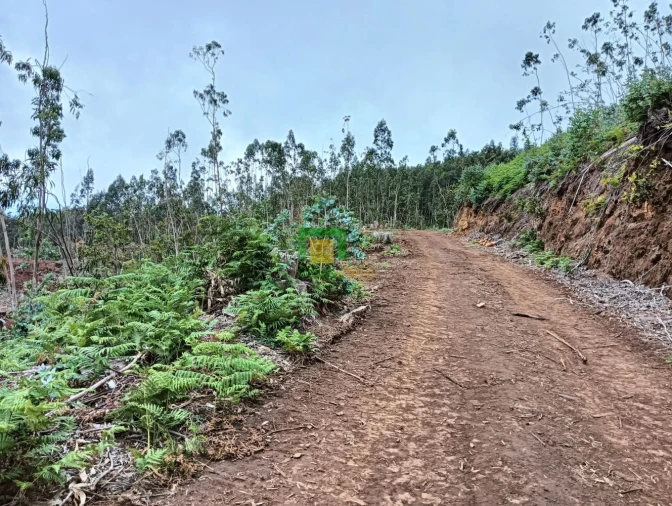 Terreno para Venda em Santo Antonio da Serra Foto 2