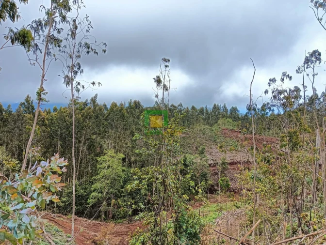Terreno para Venda em Santo Antonio da Serra Foto 5