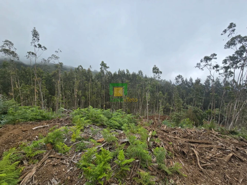 Terreno para Venda em Santo Antonio da Serra Foto 6