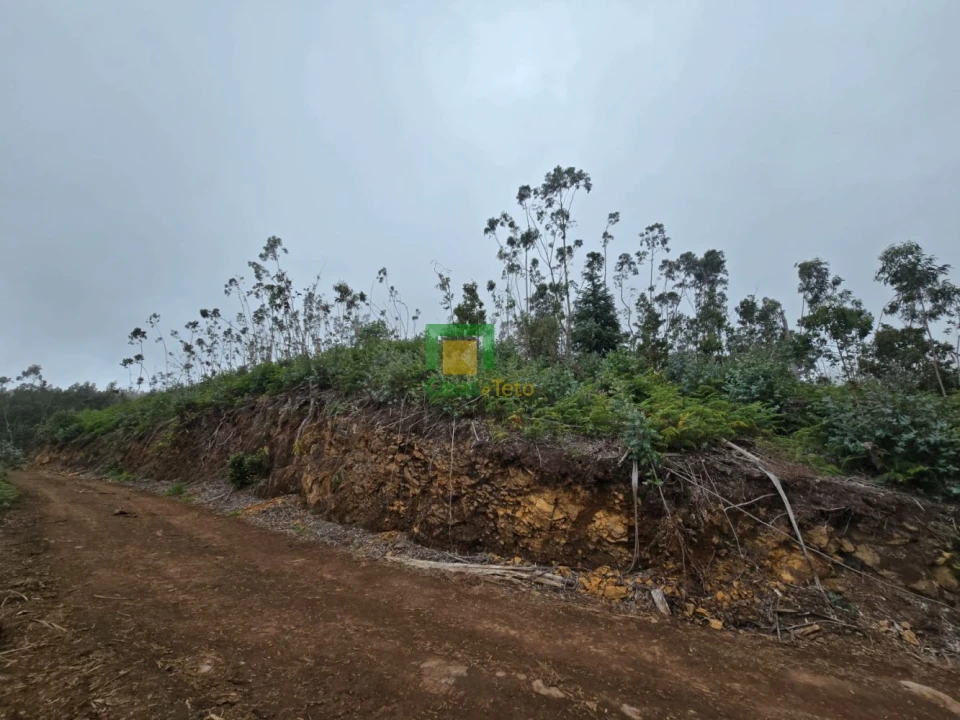 Terreno para Venda em Santo Antonio da Serra Foto 1