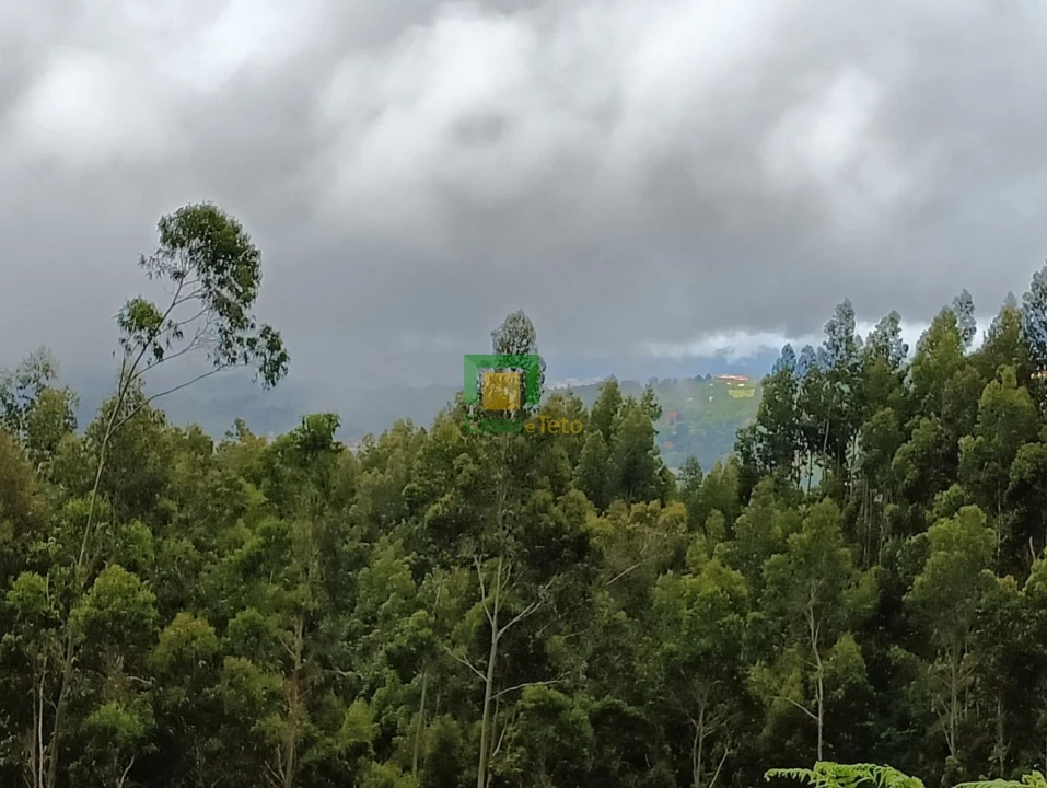 Terreno para Venda em Santo Antonio da Serra Foto 3