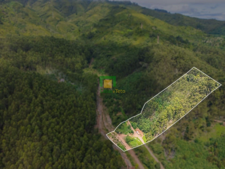 Terreno para Venda em Santo Antonio da Serra Foto 4