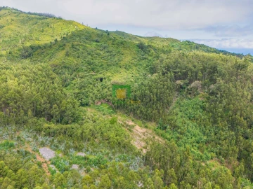 Terreno para Venda em Santo Antonio da Serra