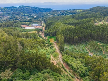 Terreno para Venda em Santo Antonio da Serra