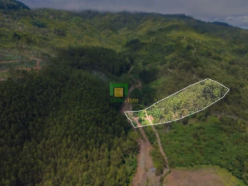 Terreno para Venda em Santo Antonio da Serra
