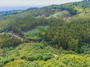 Terreno para Venda em Santo Antonio da Serra