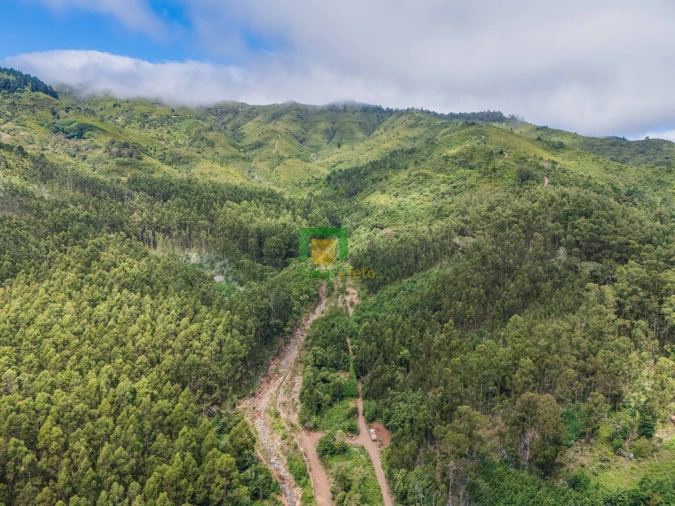 Terreno para Venda em Santo Antonio da Serra Foto 11