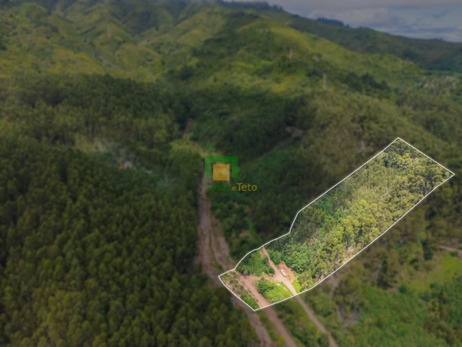 Terreno para Venda em Santo Antonio da Serra Foto 4