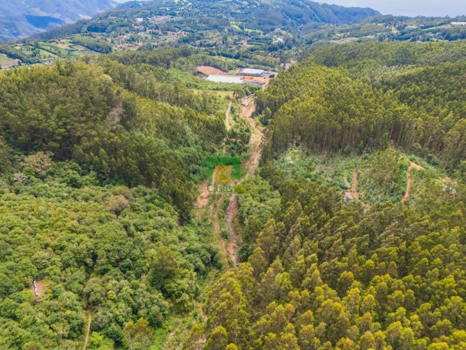 Terreno para Venda em Santo Antonio da Serra Foto 8
