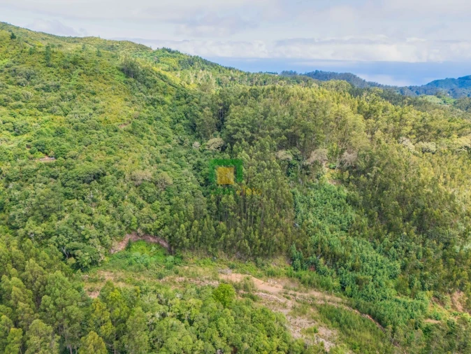 Terreno para Venda em Santo Antonio da Serra Foto 13