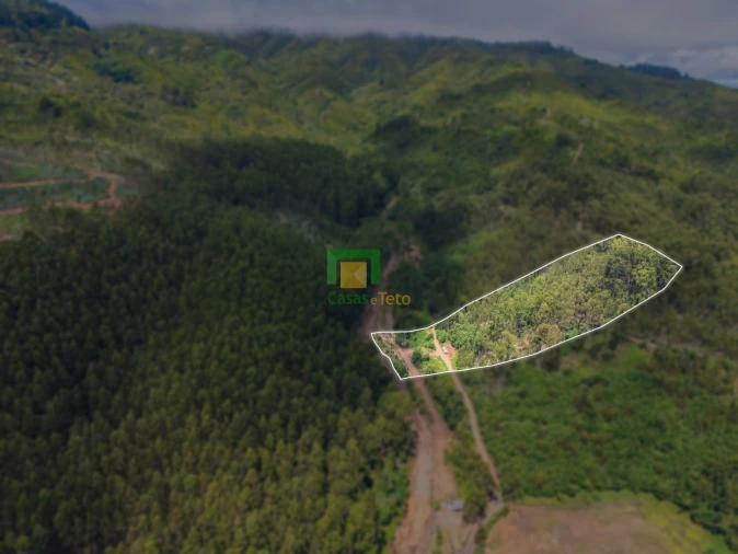 Terreno para Venda em Santo Antonio da Serra Foto 3
