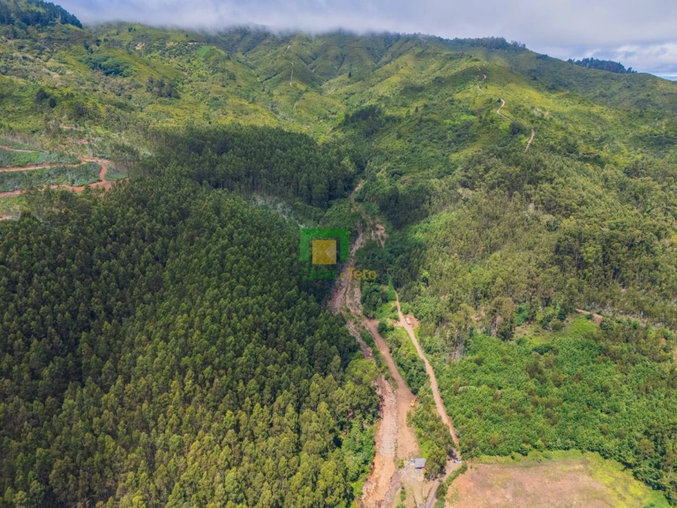 Terreno para Venda em Santo Antonio da Serra Foto 1