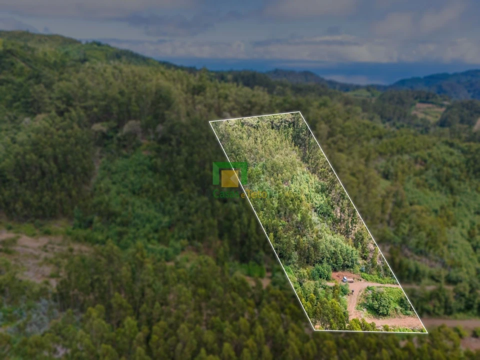 Terreno para Venda em Santo Antonio da Serra Foto 14