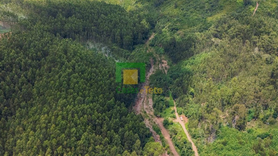 Terreno para Venda em Santo Antonio da Serra