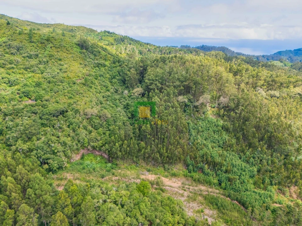 Terreno para Venda em Santo Antonio da Serra Foto 13